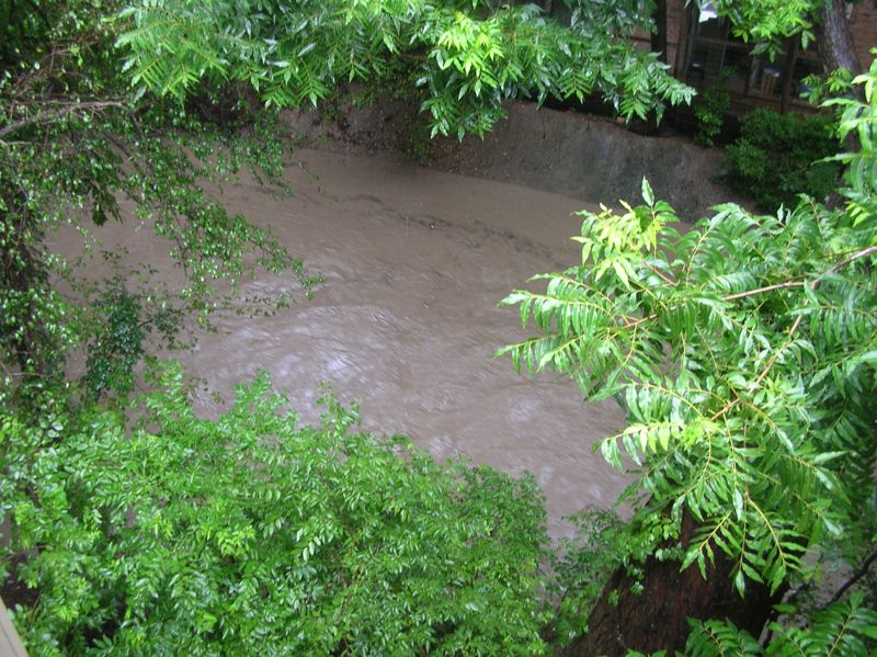 The next day's result: large amounts of water in the drainage area behind my old apartment