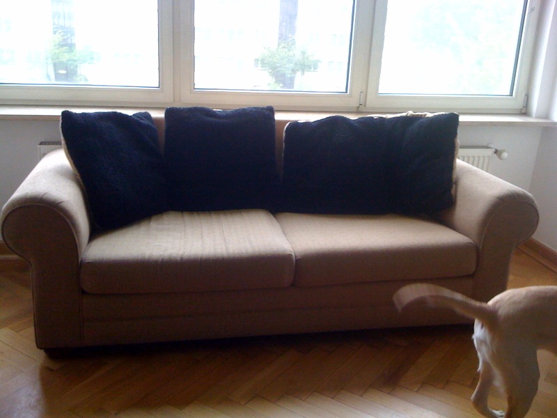 Old Couch. It deserves the blurry shot it got. (I feel bad about saying that - it was a great couch for 6-7 years.)